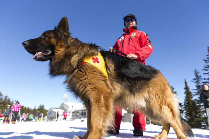 In jedem Skigebiet gibt es Sanitäter, die oft auch mit Rettungshunden unterwegs und im Notfall zur Stelle sind.